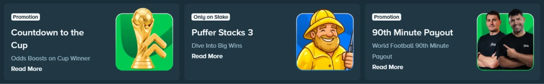 Stake sport promo